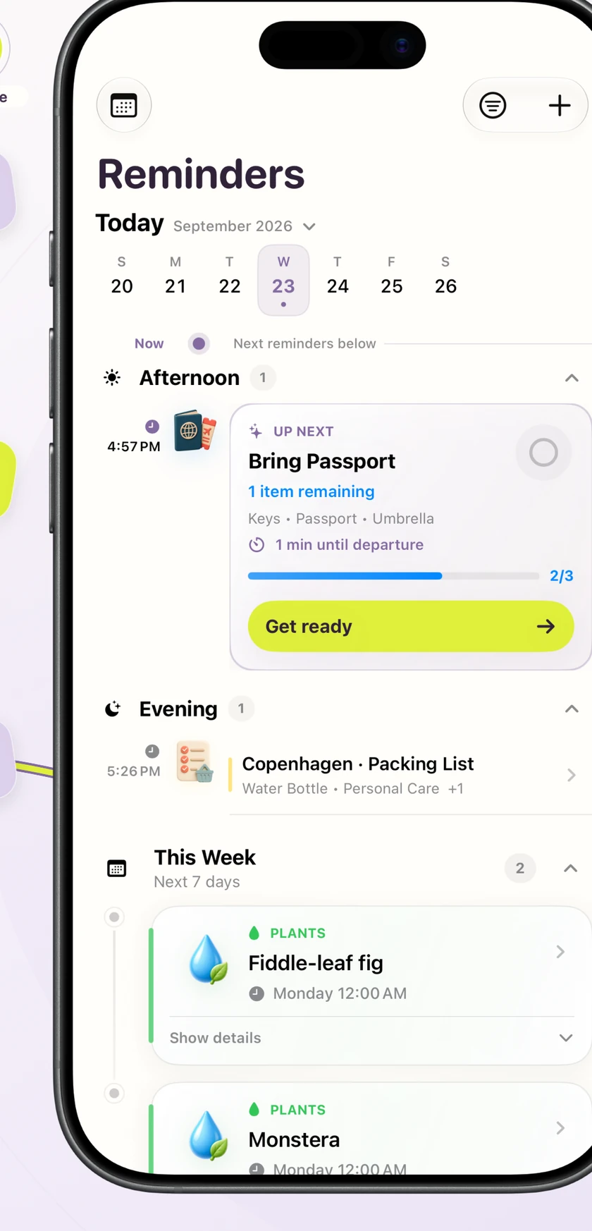 ReadyKin reminder timeline showing an upcoming passport reminder